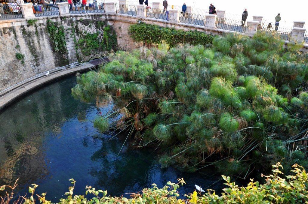 Siracusa Vacanze Сиракузы Номер фото